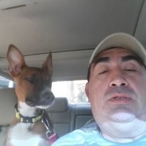 Meet your Posher, Angel